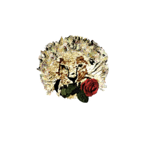 LA RYL PARIS, ALL RIGHTS RESERVED.